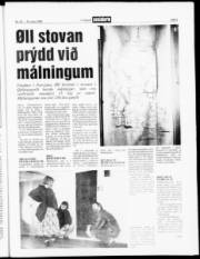 Síða 3