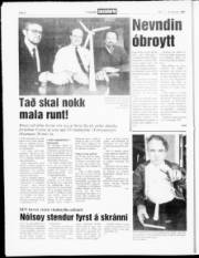 Síða 6