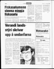 Síða 8