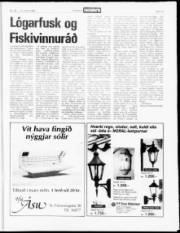 Síða 19