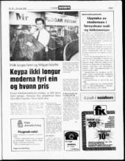 Síða 3