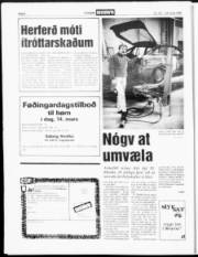 Síða 6