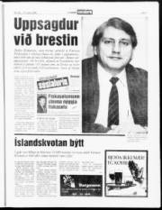 Síða 7