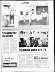 Síða 11