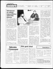 Síða 2