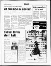 Síða 5