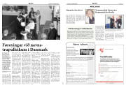 Síða 8