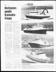 Síða 6