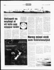 Síða 8