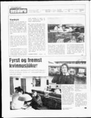 Síða 2