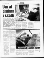 Síða 3