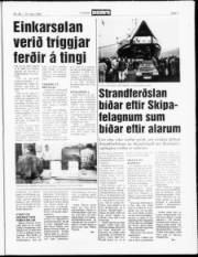 Síða 5