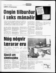 Síða 5