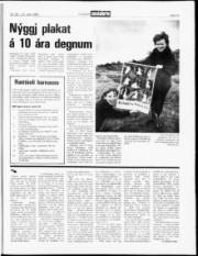 Síða 13