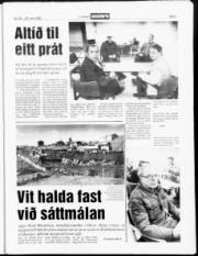 Síða 3