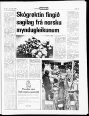 Síða 15