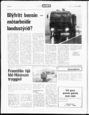 Síða 20