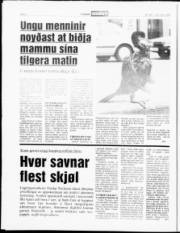 Síða 6