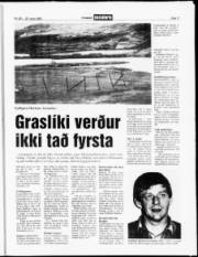 Síða 11