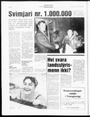 Síða 6