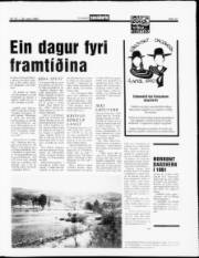 Síða 13