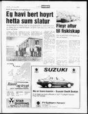 Síða 5