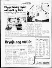 Síða 6