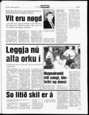 Síða 3