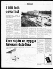 Síða 4