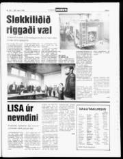 Síða 5