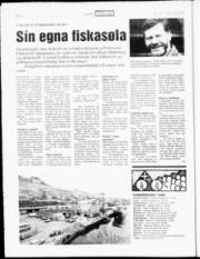 Síða 6