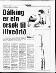Síða 13