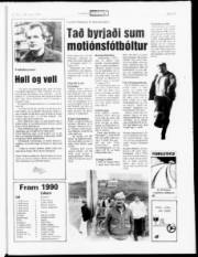 Síða 19
