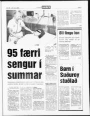 Síða 3
