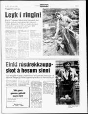 Síða 5
