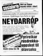 Síða 1