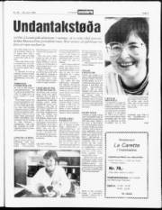Síða 3