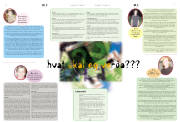 Síða 10