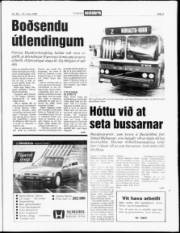 Síða 3