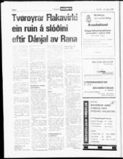 Síða 8