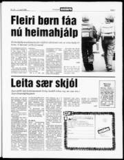 Síða 3