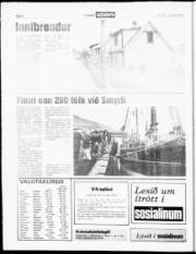 Síða 6