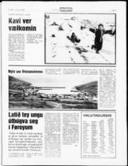 Síða 5