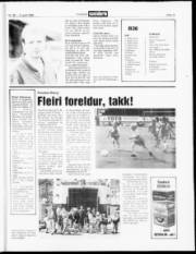 Síða 13