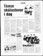 Síða 14
