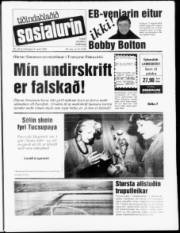 Síða 1