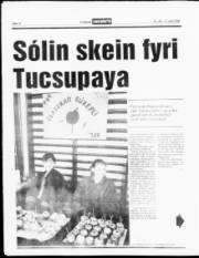 Síða 12