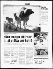 Síða 5