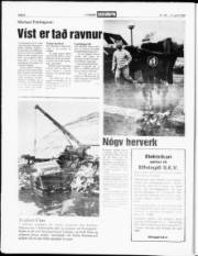 Síða 6