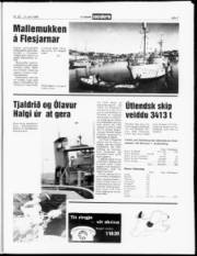 Síða 7